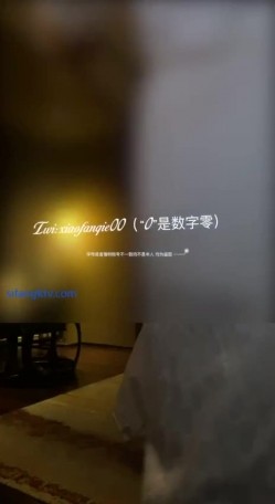预览图5