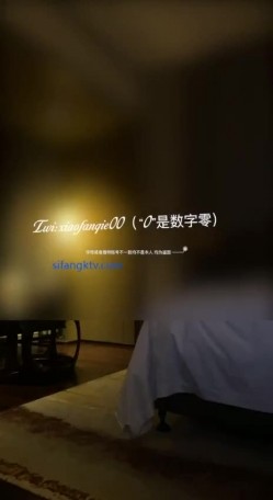 预览图8