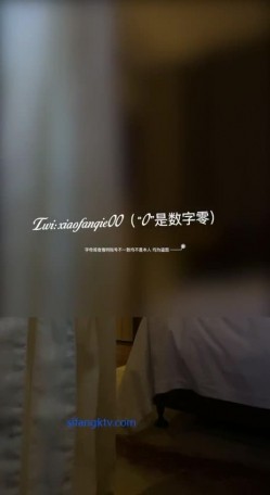 预览图9