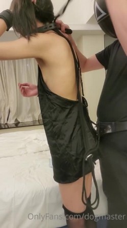 预览图5