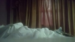 预览图5