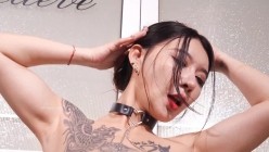预览图13