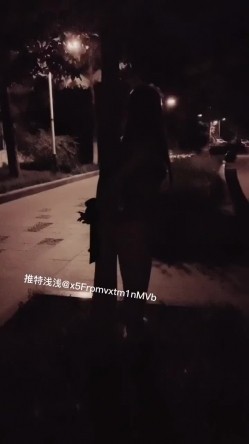 预览图13