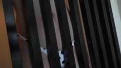 预览图13
