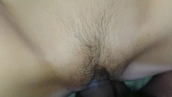 预览图4
