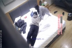 预览图5