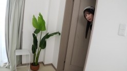 预览图4