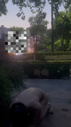 预览图2