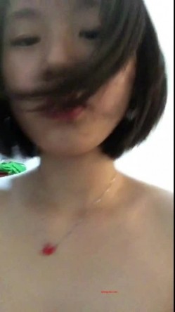 预览图9