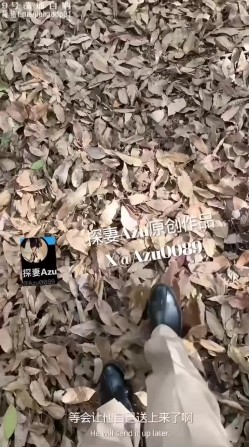 预览图3