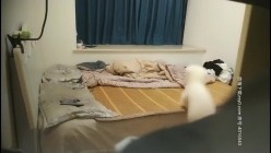 预览图2