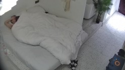 预览图4