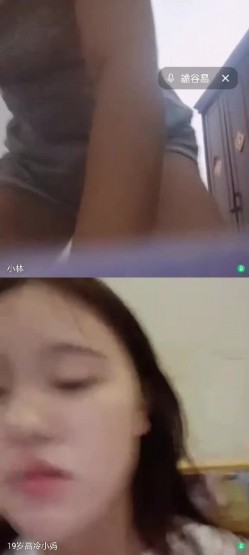 预览图4