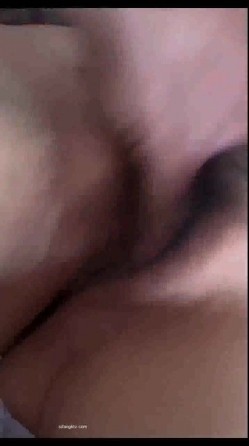 预览图8