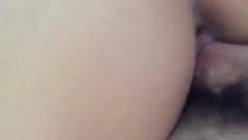 预览图4