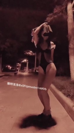 预览图4