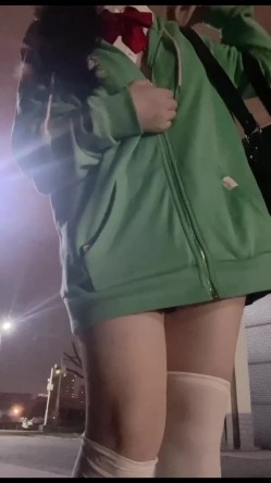 预览图12