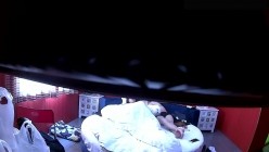 预览图16