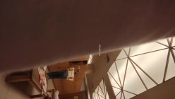 预览图8