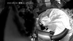 预览图11