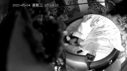 预览图12