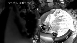 预览图13