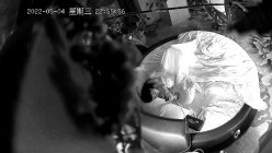 预览图15