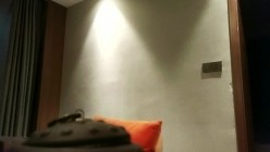 预览图15
