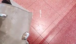 预览图6