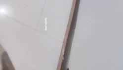 预览图8