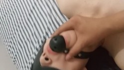 预览图16