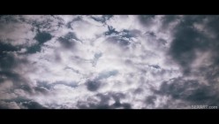 预览图4