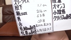 预览图5