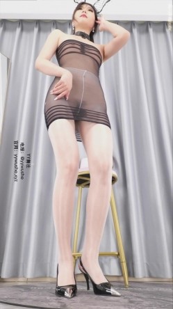 预览图4