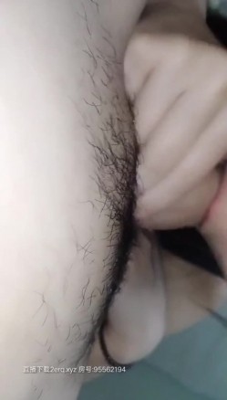 预览图15