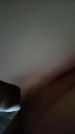 预览图8