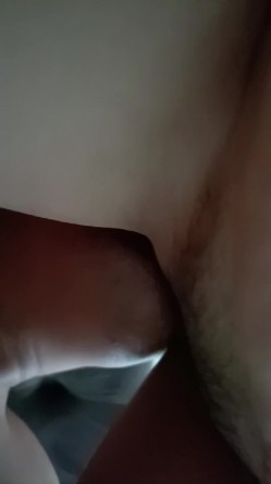 预览图15