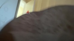 预览图12
