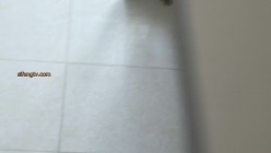 预览图14