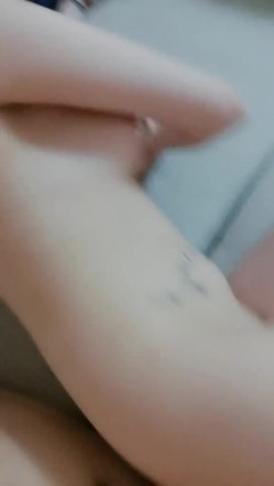 预览图16