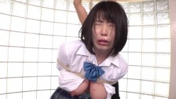 预览图13