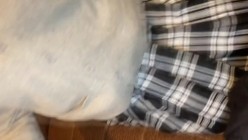 预览图6