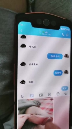 预览图6
