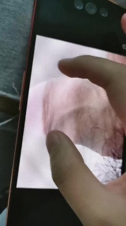 预览图9