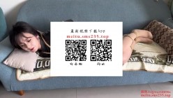 预览图13
