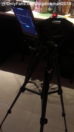 预览图5