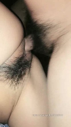 预览图16