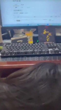 预览图1