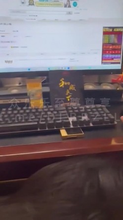 预览图14