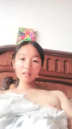 预览图13